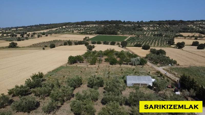 Merkez Erenköy Merkez Mah (Erenköy Köyü)`daTarla. - 7