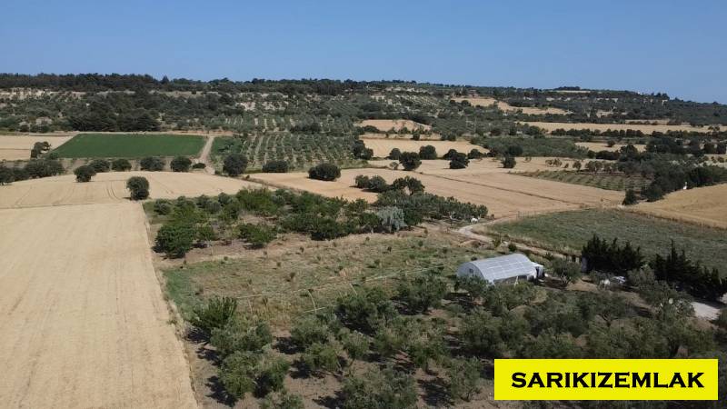 Merkez Erenköy Merkez Mah (Erenköy Köyü)`daTarla. - 8