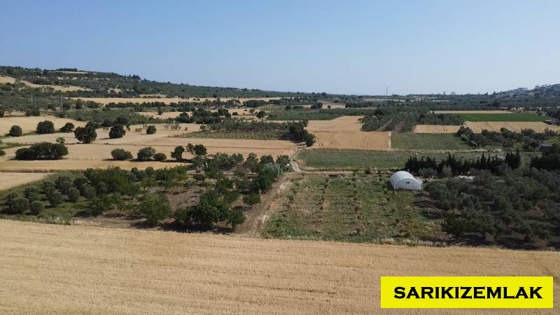 Merkez Erenköy Merkez Mah (Erenköy Köyü)`daTarla. - 10