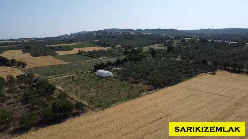 Merkez Erenköy Merkez Mah (Erenköy Köyü)`daTarla. - 11