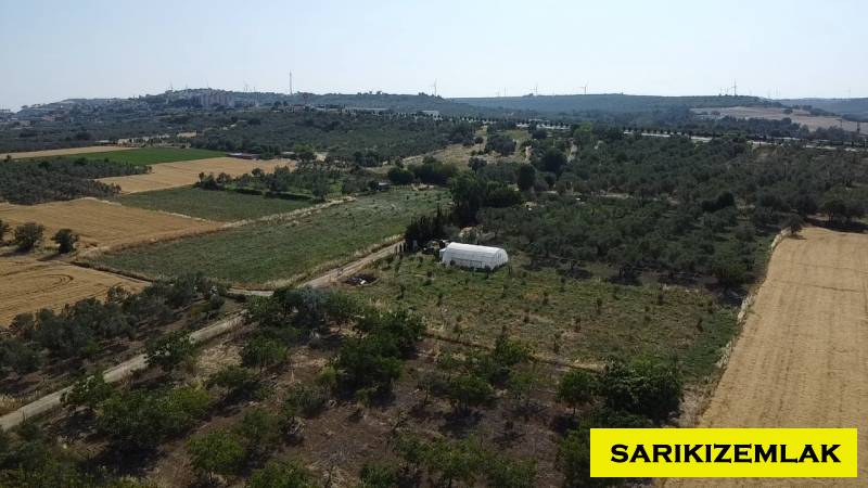 Merkez Erenköy Merkez Mah (Erenköy Köyü)`daTarla. - 12
