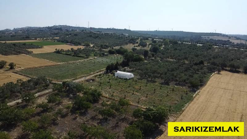 Merkez Erenköy Merkez Mah (Erenköy Köyü)`daTarla. - 13