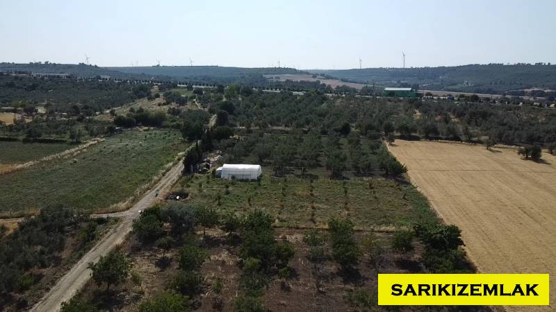 Merkez Erenköy Merkez Mah (Erenköy Köyü)`daTarla. - 14