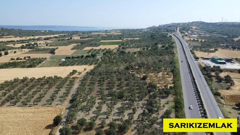 Merkez Erenköy Merkez Mah (Erenköy Köyü)`daTarla. - 15