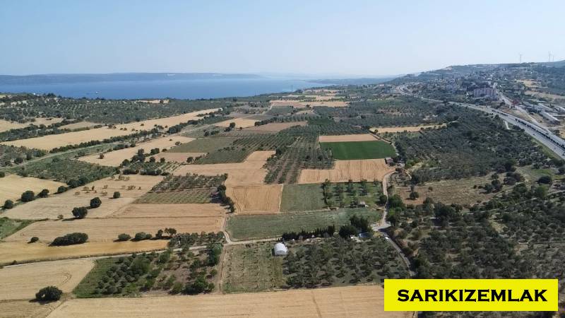 Merkez Erenköy Merkez Mah (Erenköy Köyü)`daTarla. - 2