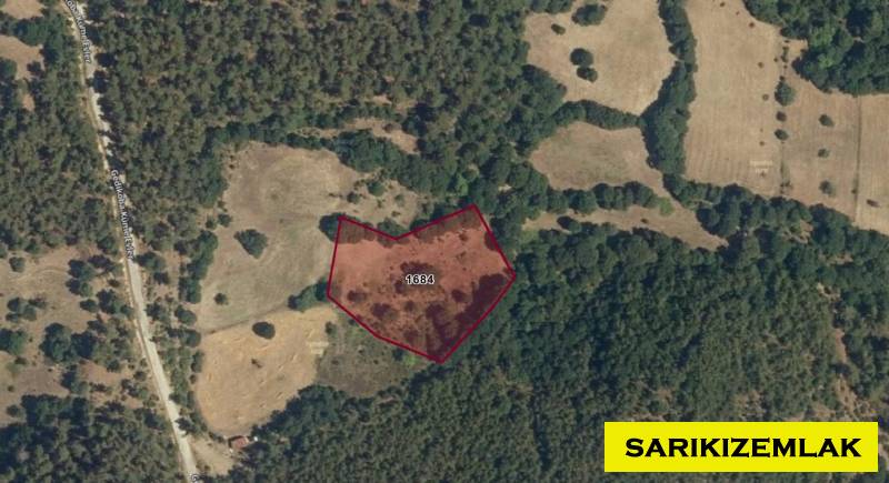 Yenice Karaköy Köyü`daTarla. - 2