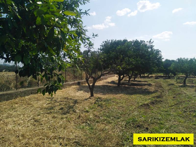 Havran Tekke Mah`daBağ & Bahçe. - 9