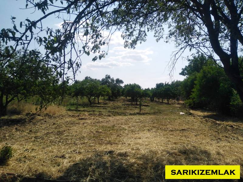 Havran Tekke Mah`daBağ & Bahçe. - 7