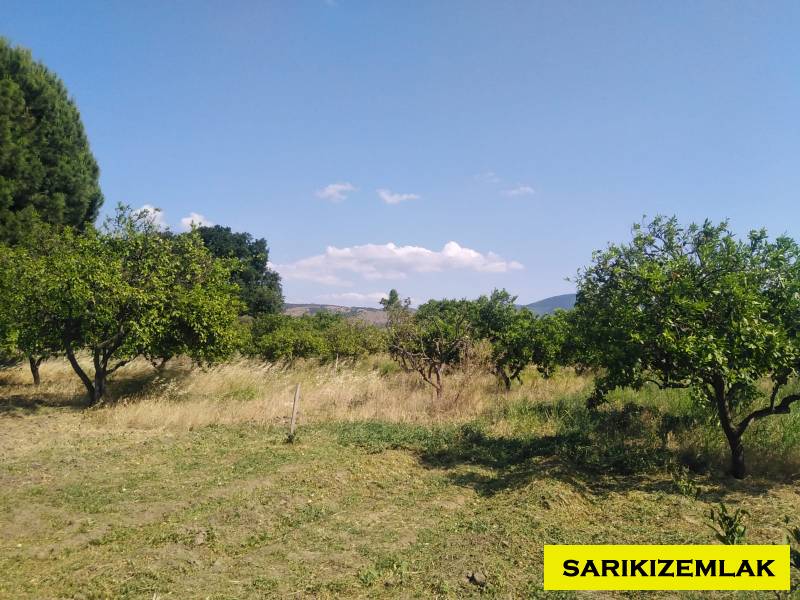 Havran Tekke Mah`daBağ & Bahçe. - 15