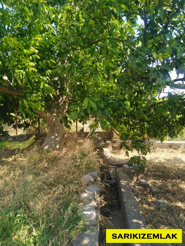 Havran Tekke Mah`daBağ & Bahçe. - 19