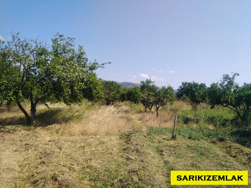 Havran Tekke Mah`daBağ & Bahçe. - 24