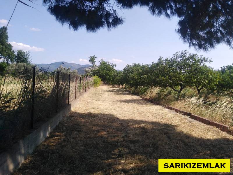 Havran Tekke Mah`daBağ & Bahçe. - 23