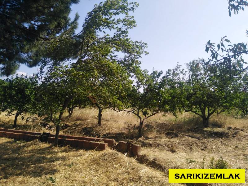 Havran Tekke Mah`daBağ & Bahçe. - 32