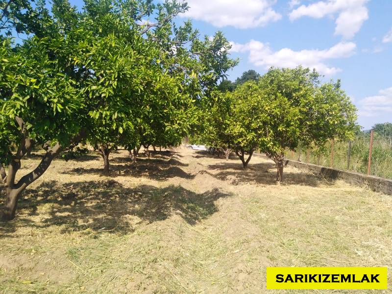 Havran Tekke Mah`daBağ & Bahçe. - 34