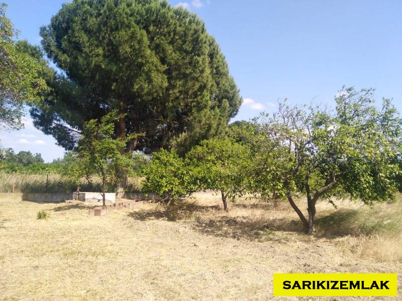 Havran Tekke Mah`daBağ & Bahçe. - 37