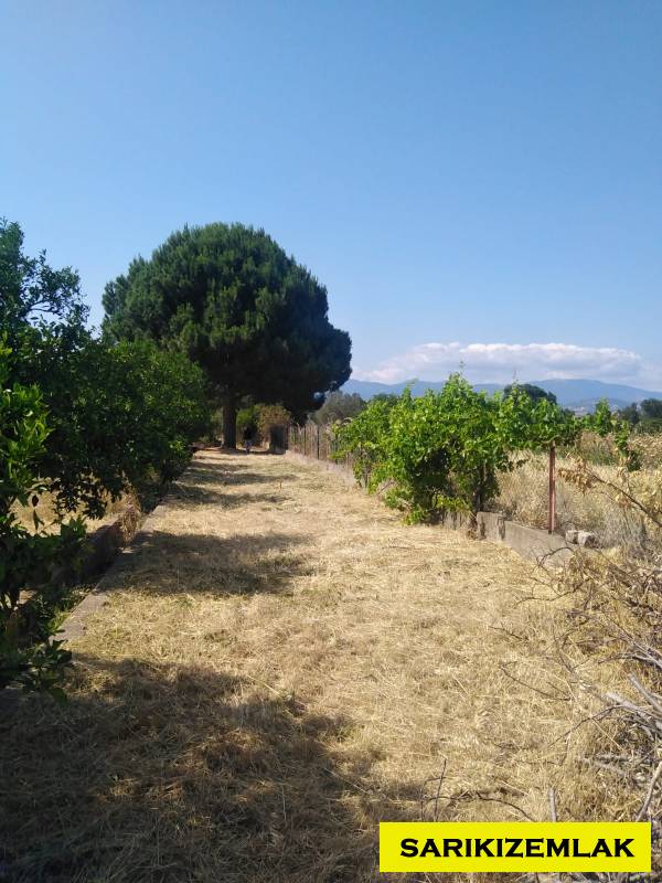 Havran Tekke Mah`daBağ & Bahçe. - 40