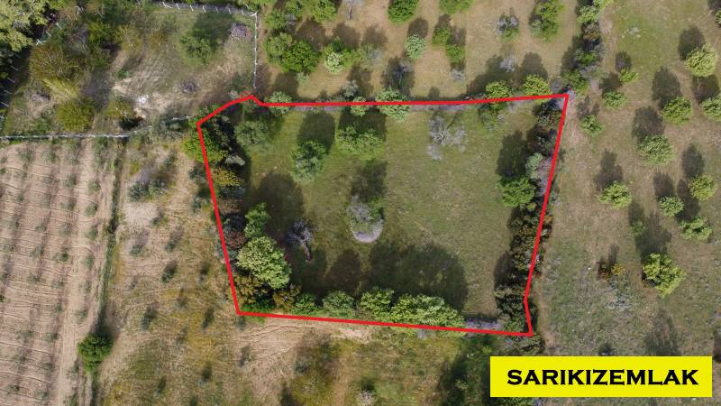 Ezine Tavaklı Köyü`daTarla. - 3