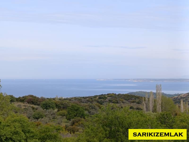 Ezine Tavaklı Köyü`daTarla. - 6