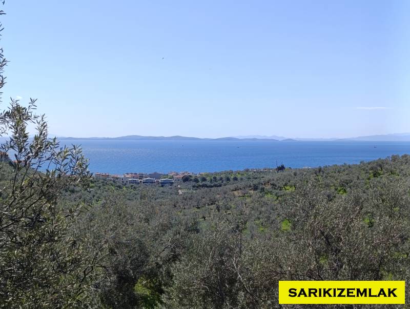 Ayvacık Çetmibaşı Mah (Küçükçetmi Köyü)`daZeytinlik. - 2