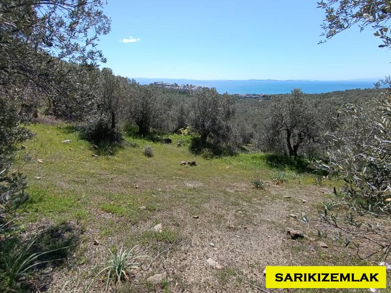 Ayvacık Çetmibaşı Mah (Küçükçetmi Köyü)`daZeytinlik. - 3