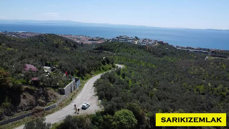 Ayvacık Çetmibaşı Mah (Küçükçetmi Köyü)`daZeytinlik. - 4