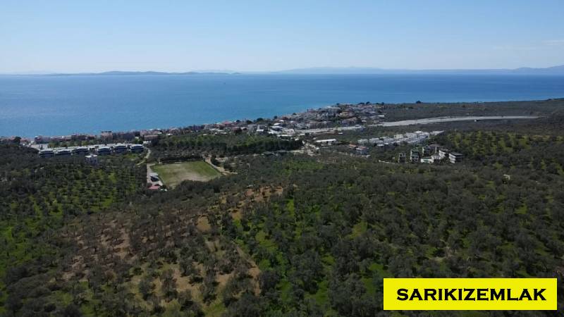 Ayvacık Çetmibaşı Mah (Küçükçetmi Köyü)`daZeytinlik. - 6