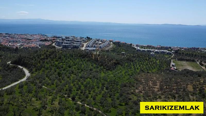 Ayvacık Çetmibaşı Mah (Küçükçetmi Köyü)`daZeytinlik. - 7