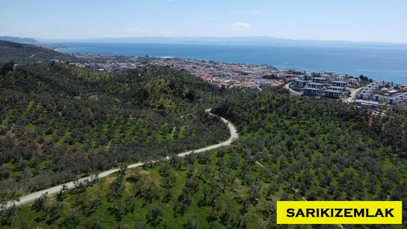 Ayvacık Çetmibaşı Mah (Küçükçetmi Köyü)`daZeytinlik. - 8