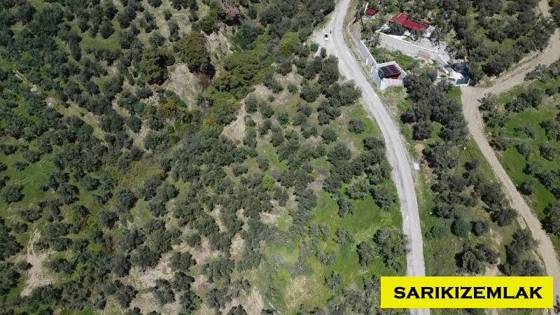 Ayvacık Çetmibaşı Mah (Küçükçetmi Köyü)`daZeytinlik. - 9