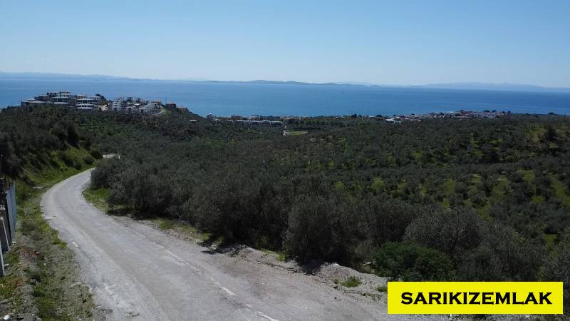 Ayvacık Çetmibaşı Mah (Küçükçetmi Köyü)`daZeytinlik. - 10