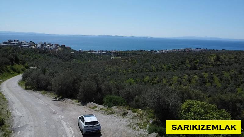 Ayvacık Çetmibaşı Mah (Küçükçetmi Köyü)`daZeytinlik. - 11