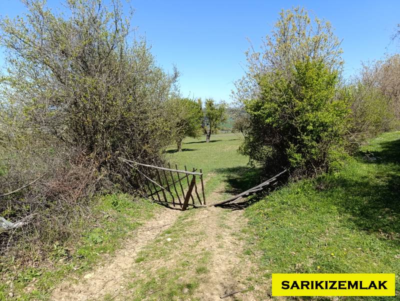 Ayvacık Kısacık Köyü`daTarla. - 3