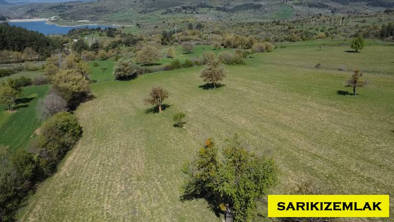 Ayvacık Kısacık Köyü`daTarla. - 8