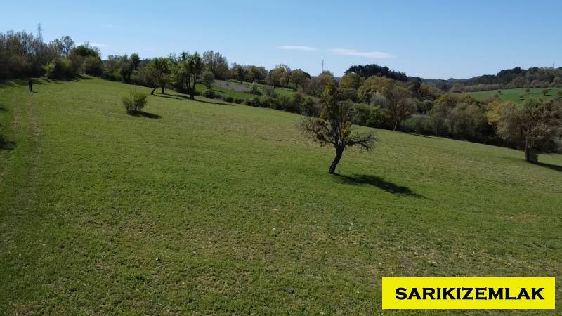 Ayvacık Kısacık Köyü`daTarla. - 13