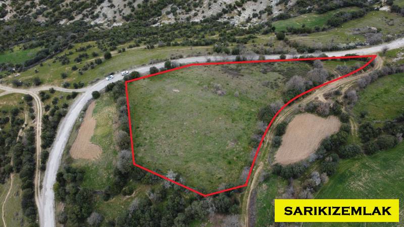 Merkez Kocalar Köyü`daTarla. - 3