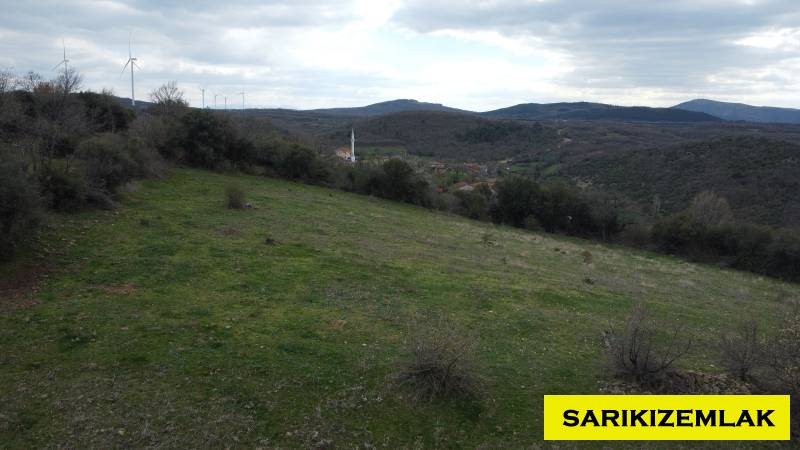 Merkez Kocalar Köyü`daTarla. - 10