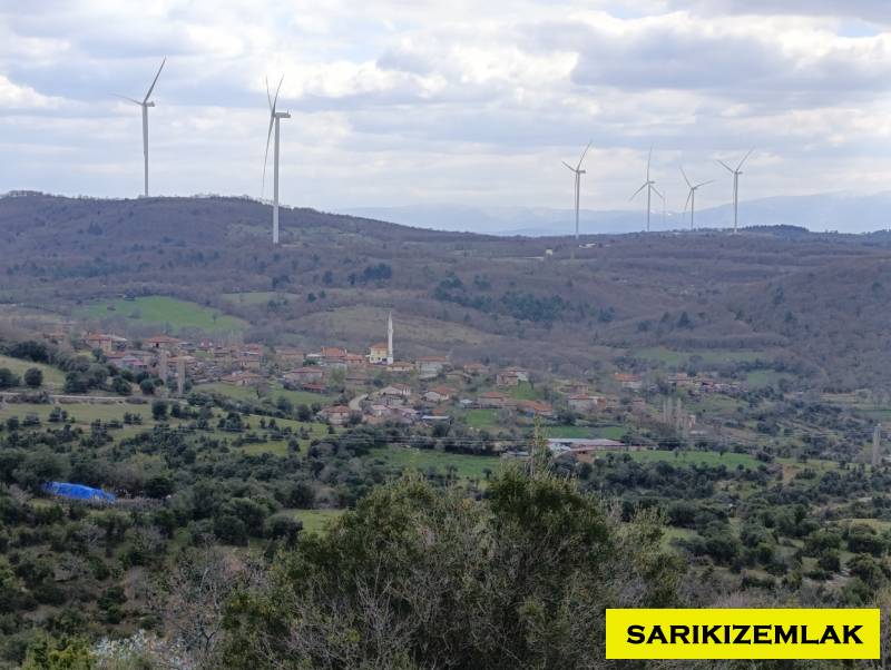 Merkez Kocalar Köyü`daTarla. - 14