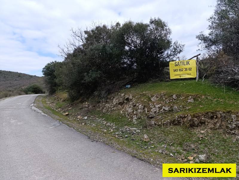 Merkez Kocalar Köyü`daTarla. - 16