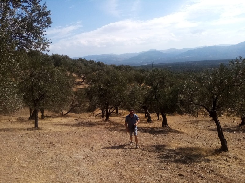 Havran Kalabak Mah`daZeytinlik. - 3