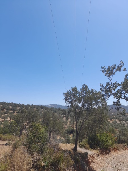 Havran Kalabak Mah`daZeytinlik. - 5