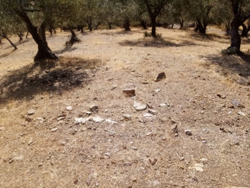 Havran Kalabak Mah`daZeytinlik. - 6