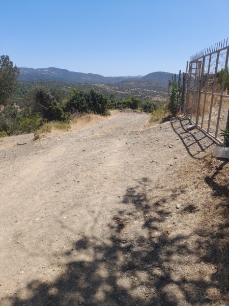 Havran Kalabak Mah`daZeytinlik. - 7