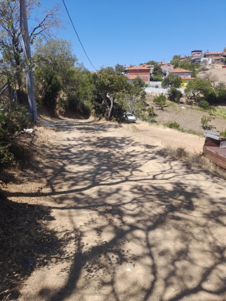 Havran Kalabak Mah`daZeytinlik. - 8