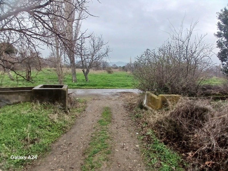 Havran Çamdibi Mah`daZeytinlik. - 12