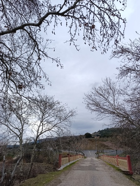 Merkez Serçiler Köyü`daVilla. - 20