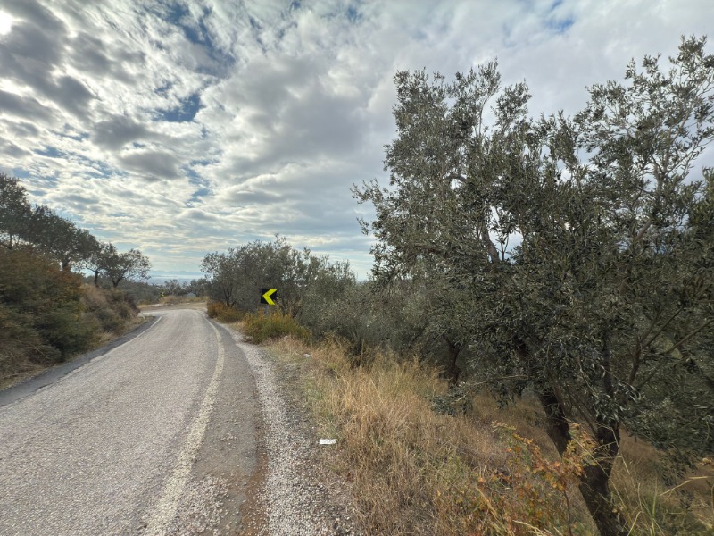 Edremit Ortaoba Mah`daZeytinlik. - 10