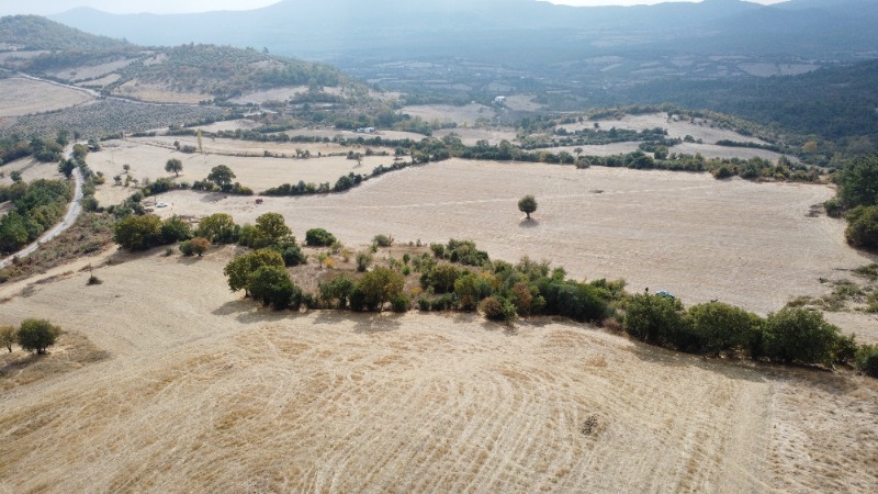Lapseki Balcılar Köyü`daTarla.