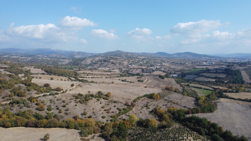 Lapseki Balcılar Köyü`daTarla. - 4