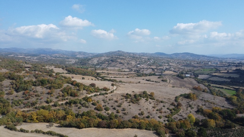Lapseki Balcılar Köyü`daTarla. - 6