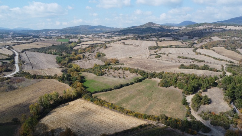 Lapseki Balcılar Köyü`daTarla. - 8